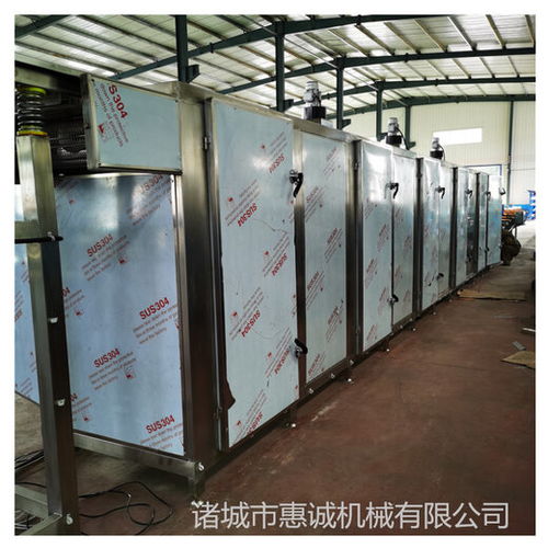 高效智能的果蔬烘干解決方案 詳解不銹鋼網帶烘干機及其生產線