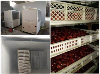 喜訊 正旭三款果蔬烘干機入選國家補貼目錄，最高補貼4萬元助力產業升級