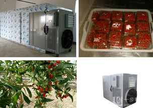 夏季果蔬專用干燥機 高效節(jié)能，助力果蔬加工產(chǎn)業(yè)升級