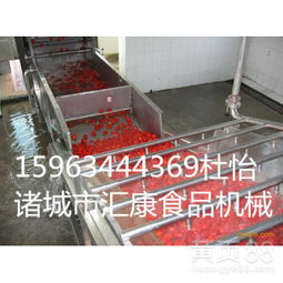 果蔬清洗與烘干設(shè)備全解析 從氣泡清洗到高效烘干